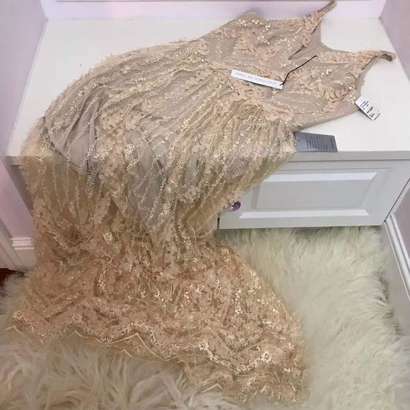 Dress the Population Chelsea Lace A-Line Gown - Picture 3 of 8